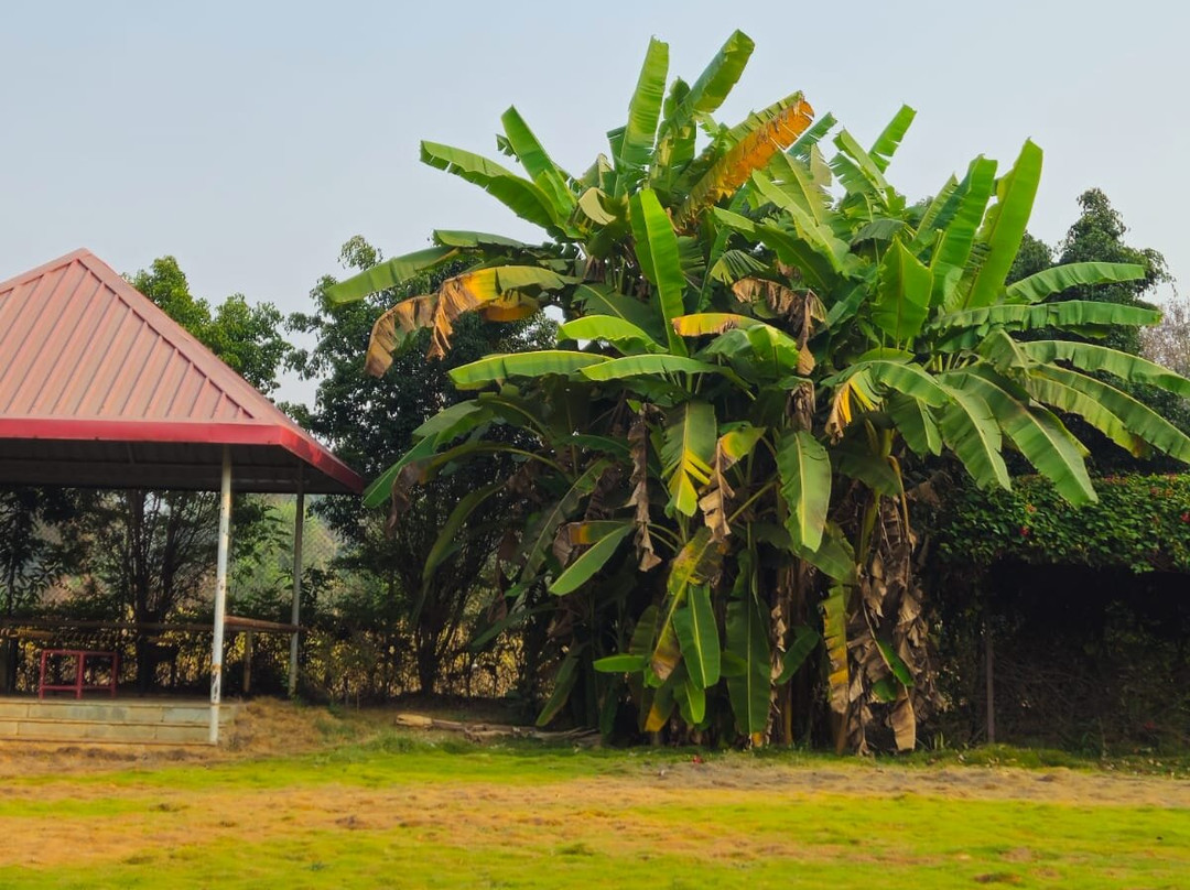 Rutugandh River View Resort Wai主图