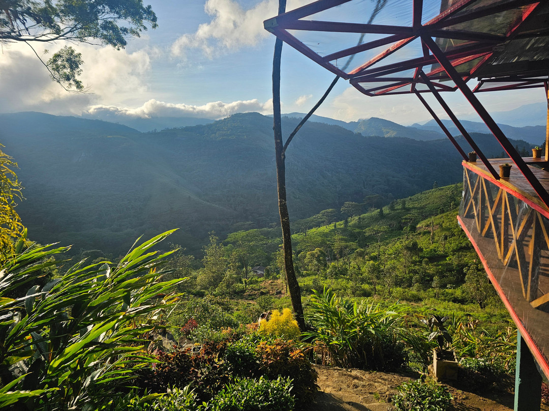 Nipuna Knuckles Trekking景点图片