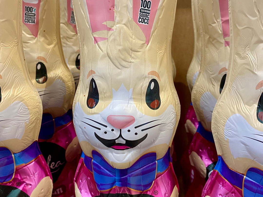 Big W Palmerston-帕默斯顿必去景点