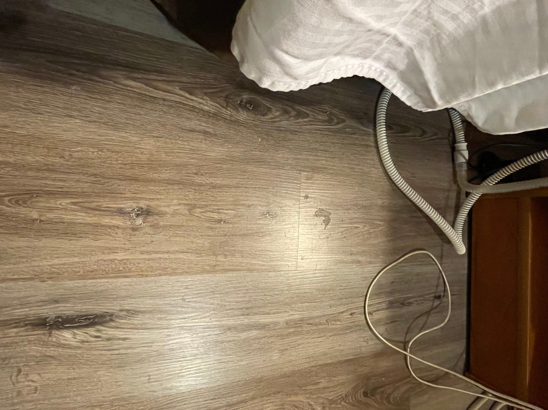 Baymont by Wyndham Albany主图