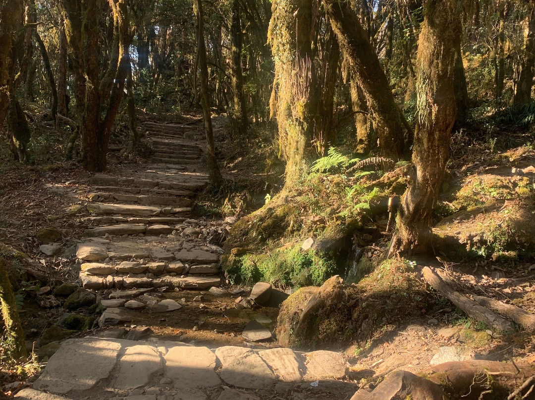 Mega Mount Trekking & Expedition-加德满都必去景点