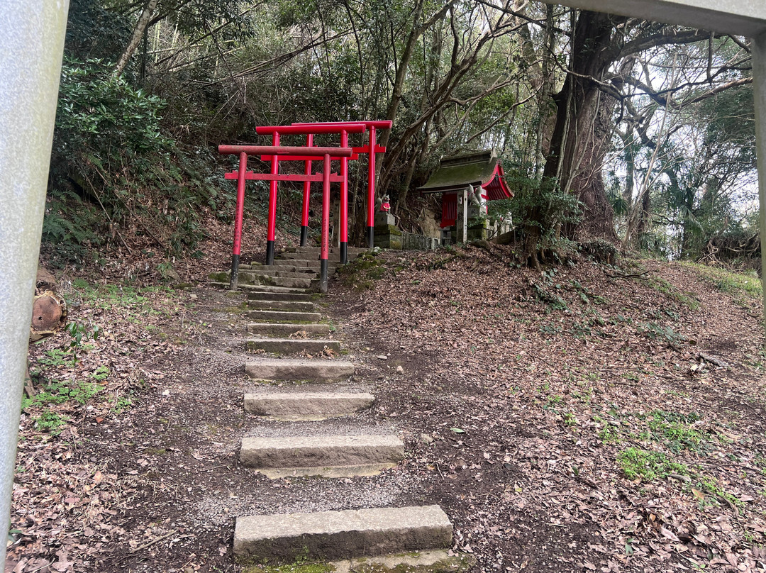 Usa Jingu Shrine Torii