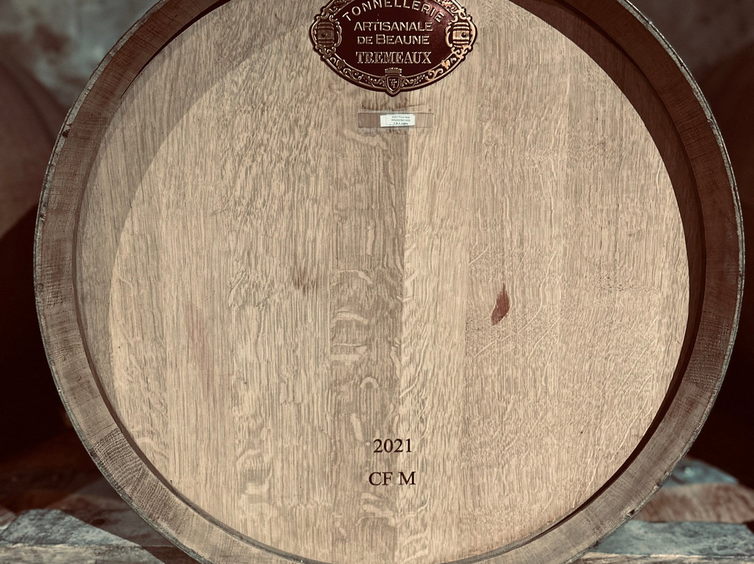 Bouchard Finlayson Winery景点图片