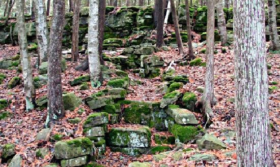 Cliff Dwellers Resort主图