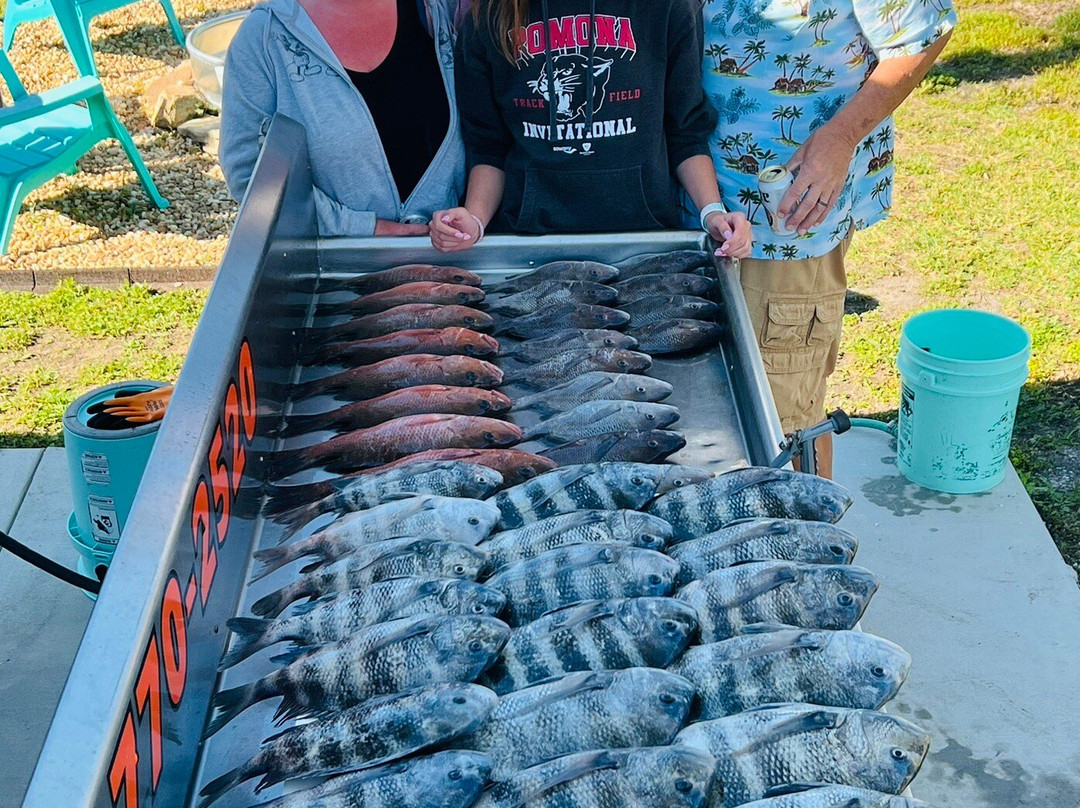 Native Fishing Charters & Airboat Tours-克里斯特尔里弗必去景点