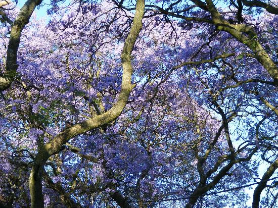 Abigail's B & B主图