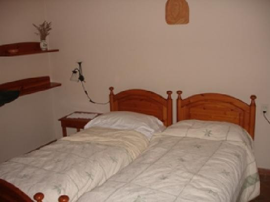 Agriturismo Fattoria di Petrognano主图