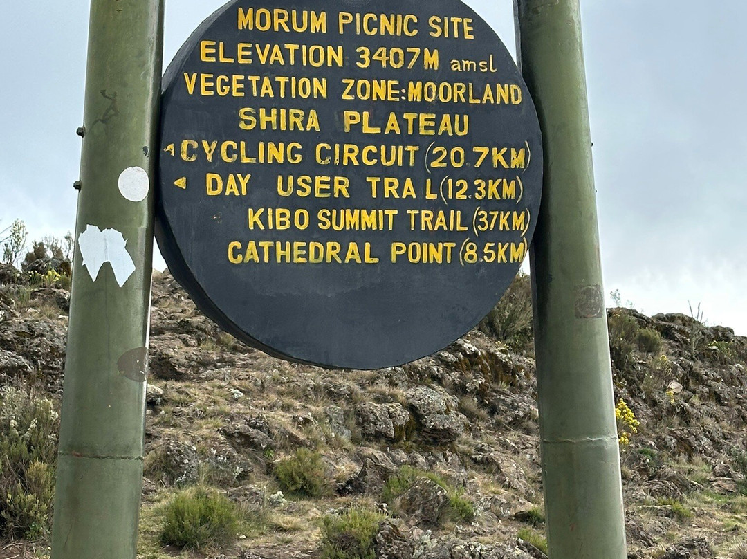 Furahia Tanzania Safari & Trekking Ltd-阿鲁沙必去景点