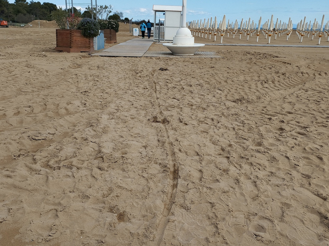 Bibione Spiaggia景点图片