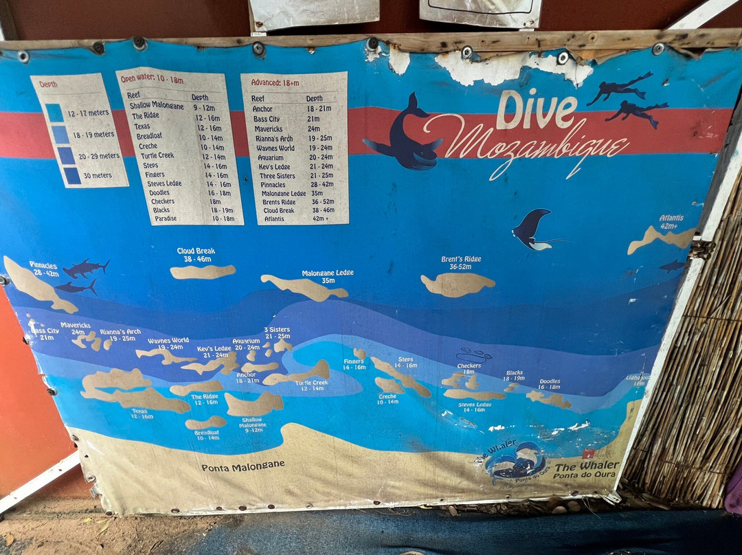 Ponta Milibangalala酒店住宿-Underwater Explorer