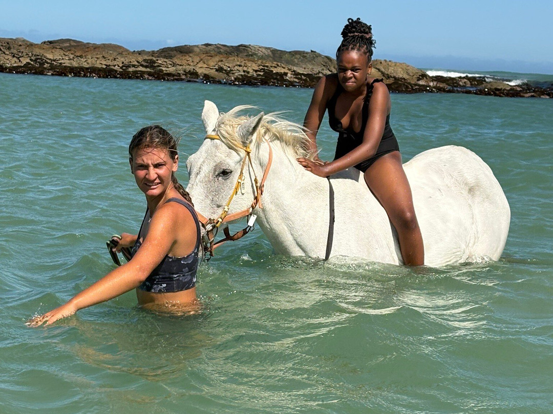 Gansbaai & Pearly Beach Horse Trails-干斯拜必去景点
