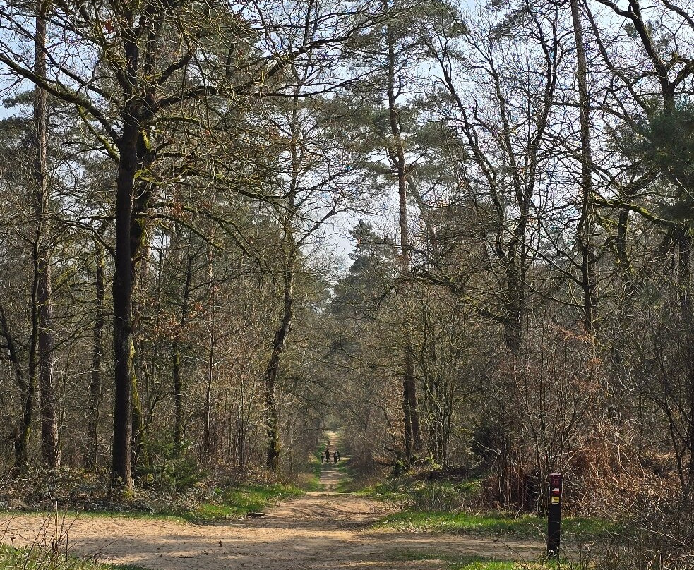 Uitkijktoren Hulzenberg-Beek Gem Montferland必去景点