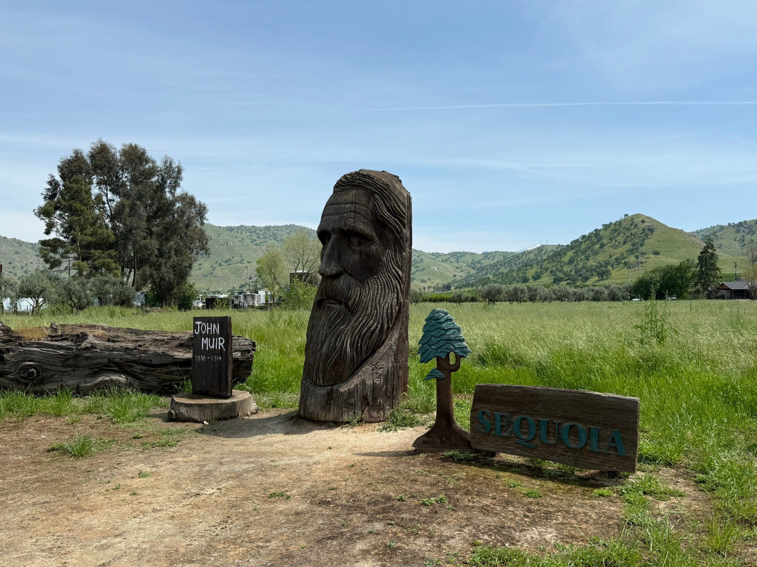 Lemon Grove Carved Statues