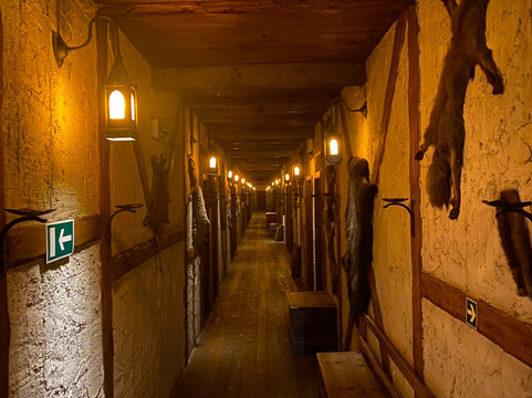 杰泰尼采中世纪酒店主图