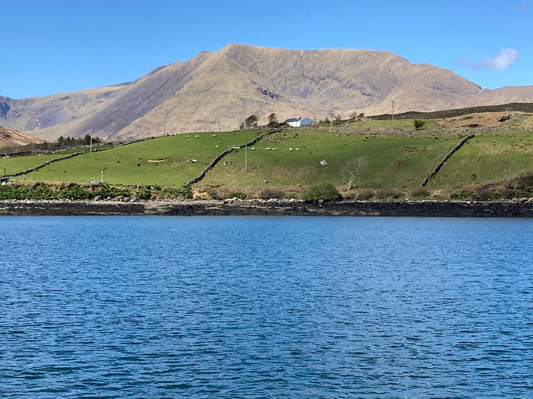 Killary Fjord Boat Tours景点图片