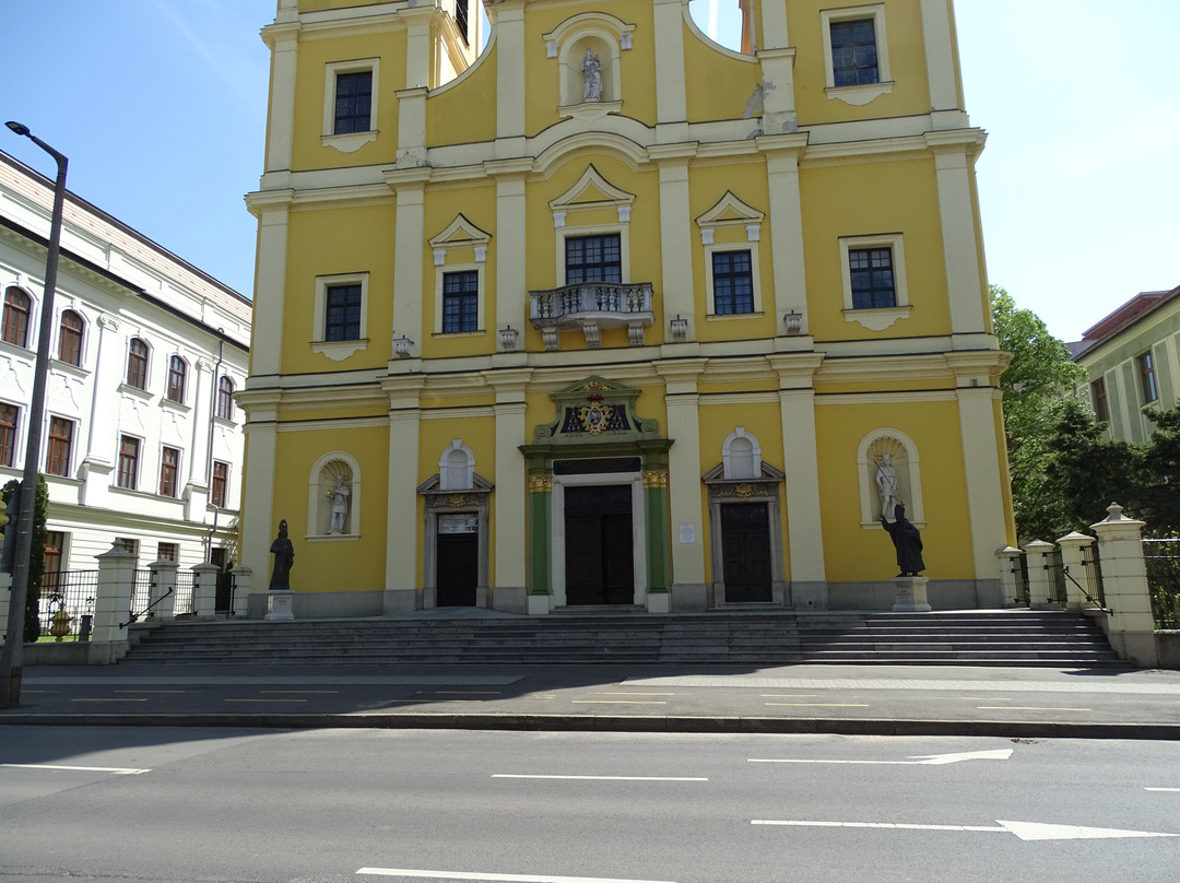 Szent Anna Cathedral and Parish Church景点图片