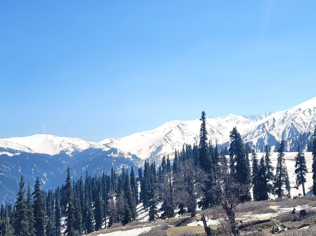 Kongdori-贡马必去景点