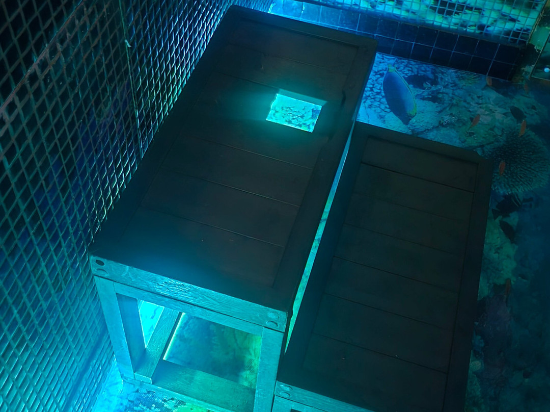 Eauzone Spa Tourcoing景点图片