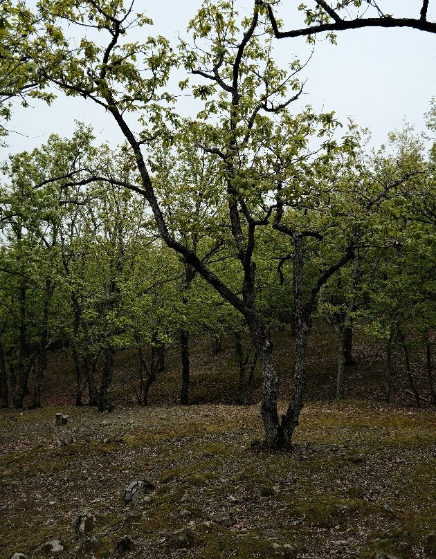Beglik-Tash-普里莫斯科必去景点