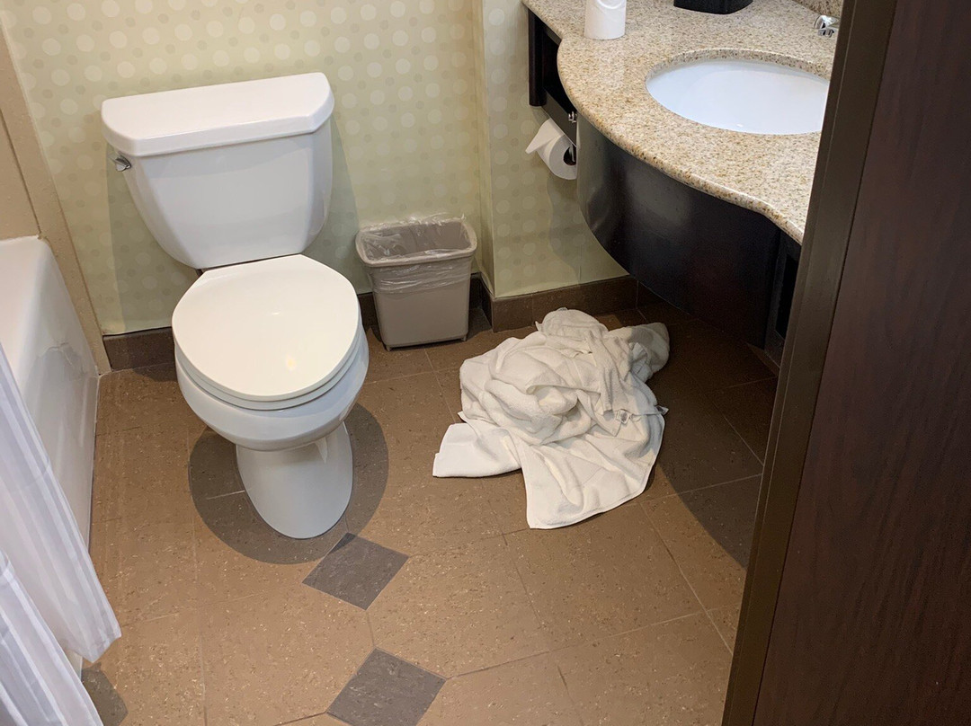 Hilton Garden Inn Houston West Katy主图