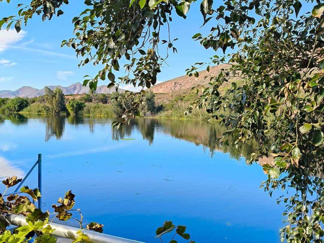 Viljoensdrift-Robertson必去景点