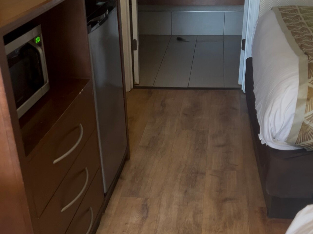 Best Western Athens主图