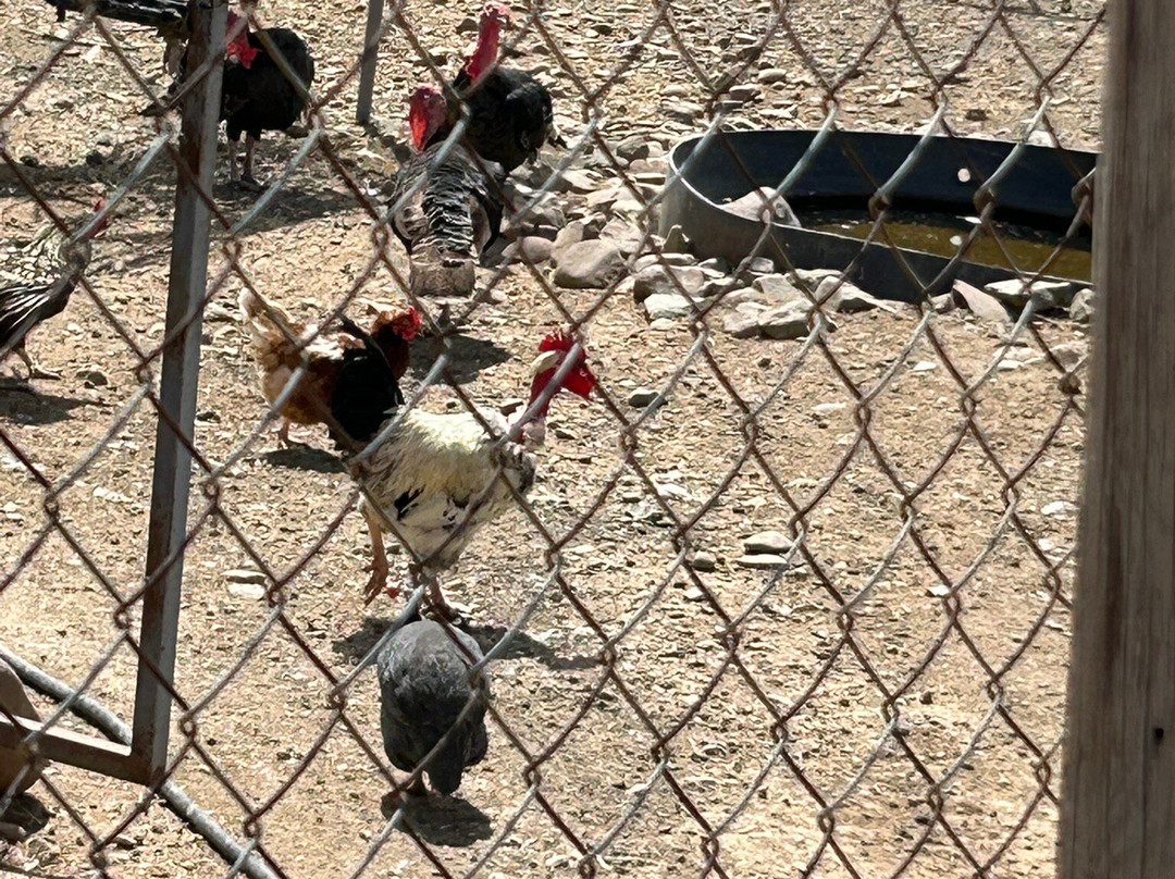 Riverland Bio Farm-尼科西亚必去景点