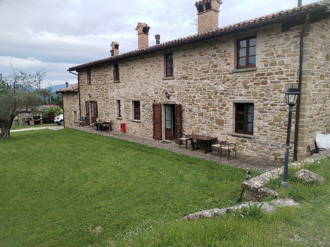 Tenuta di Biscina主图