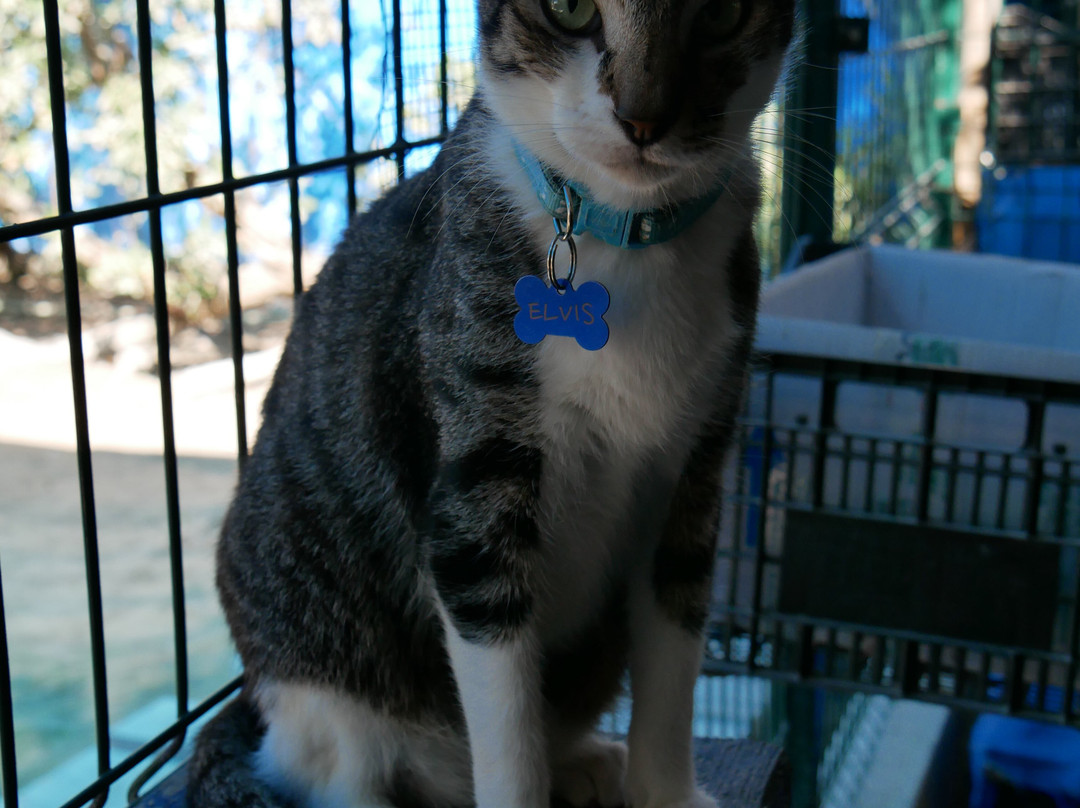 Refugio Holbox-Holbox Island必去景点