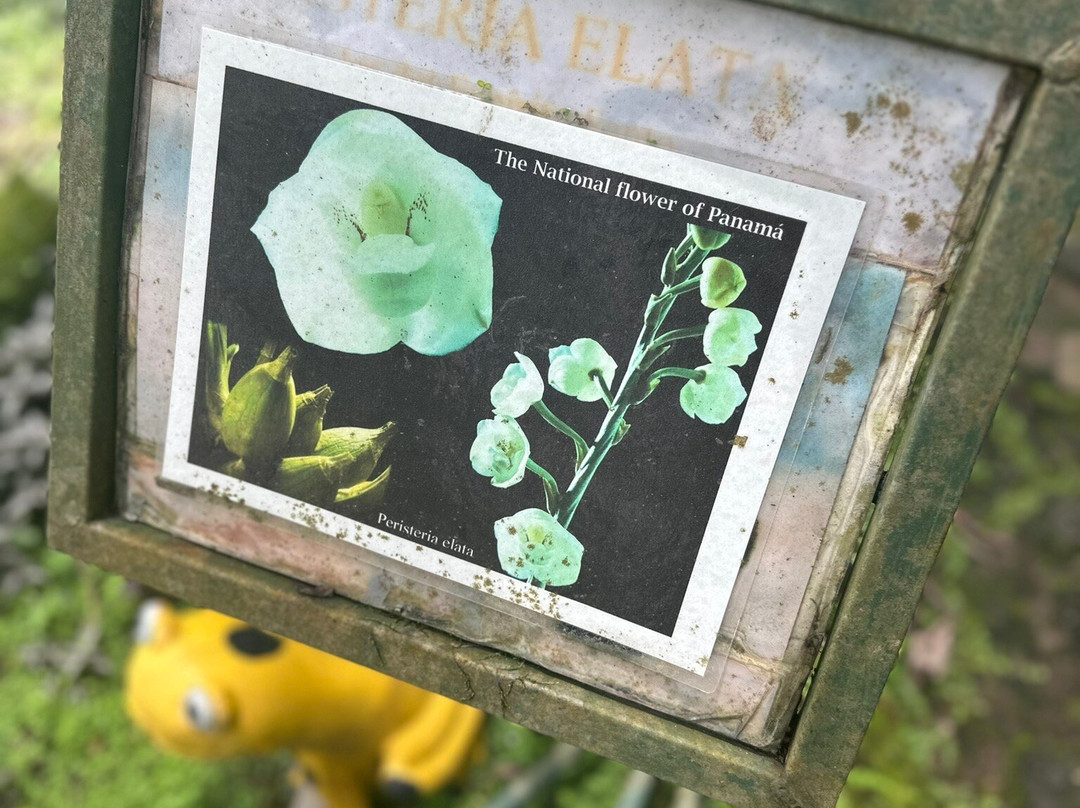 Aprovaca (The Orchid Nursery & Conservation Center)-安东谷必去景点