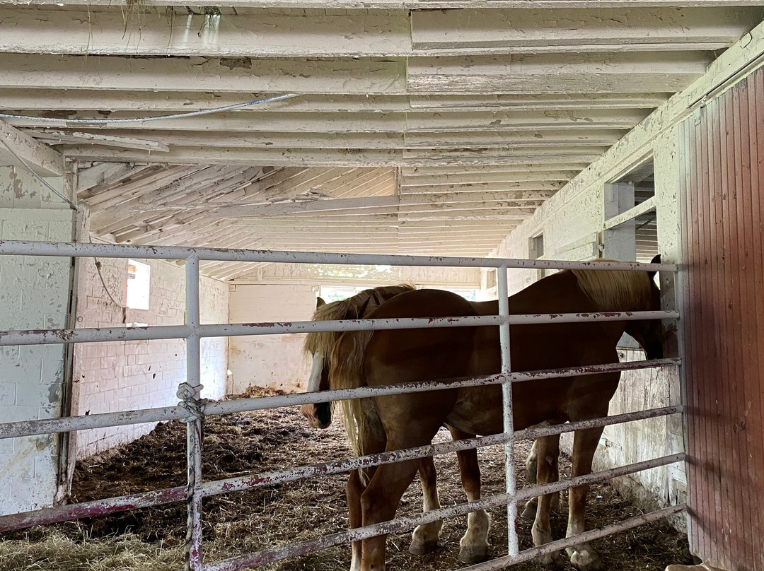 Yoder's Amish Home-Millersburg必去景点
