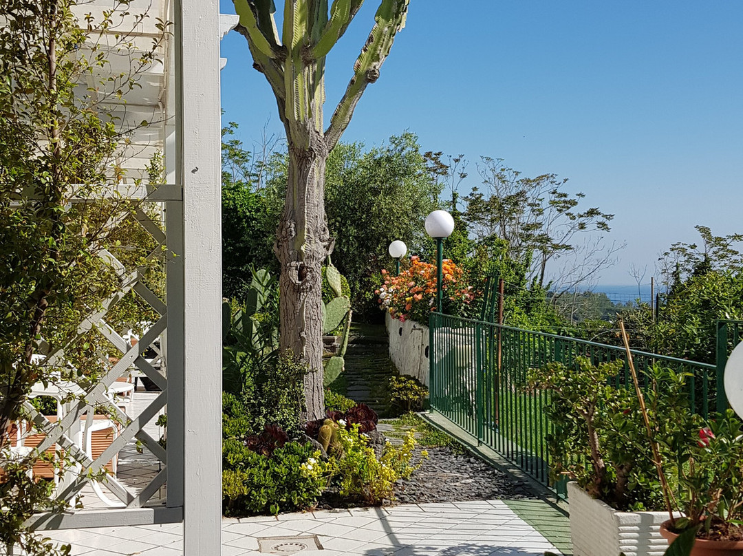 Hotel Bellevue Benessere e Relax主图