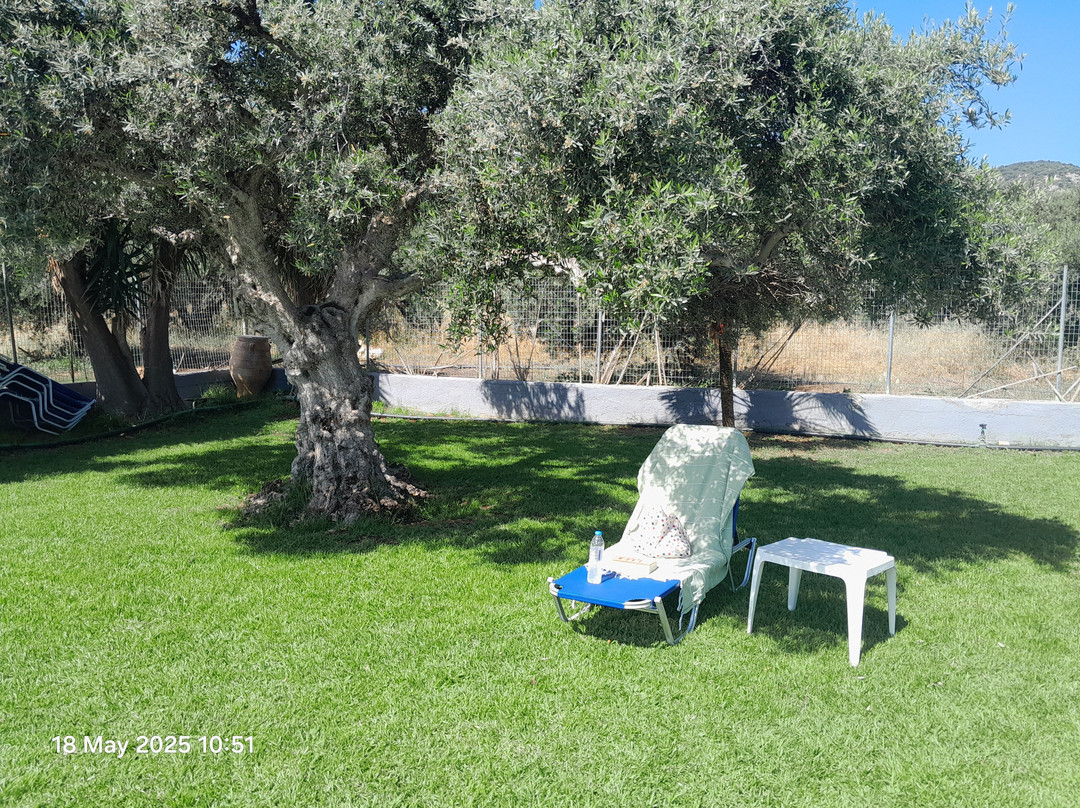 Ibiscus Hotel Malia主图