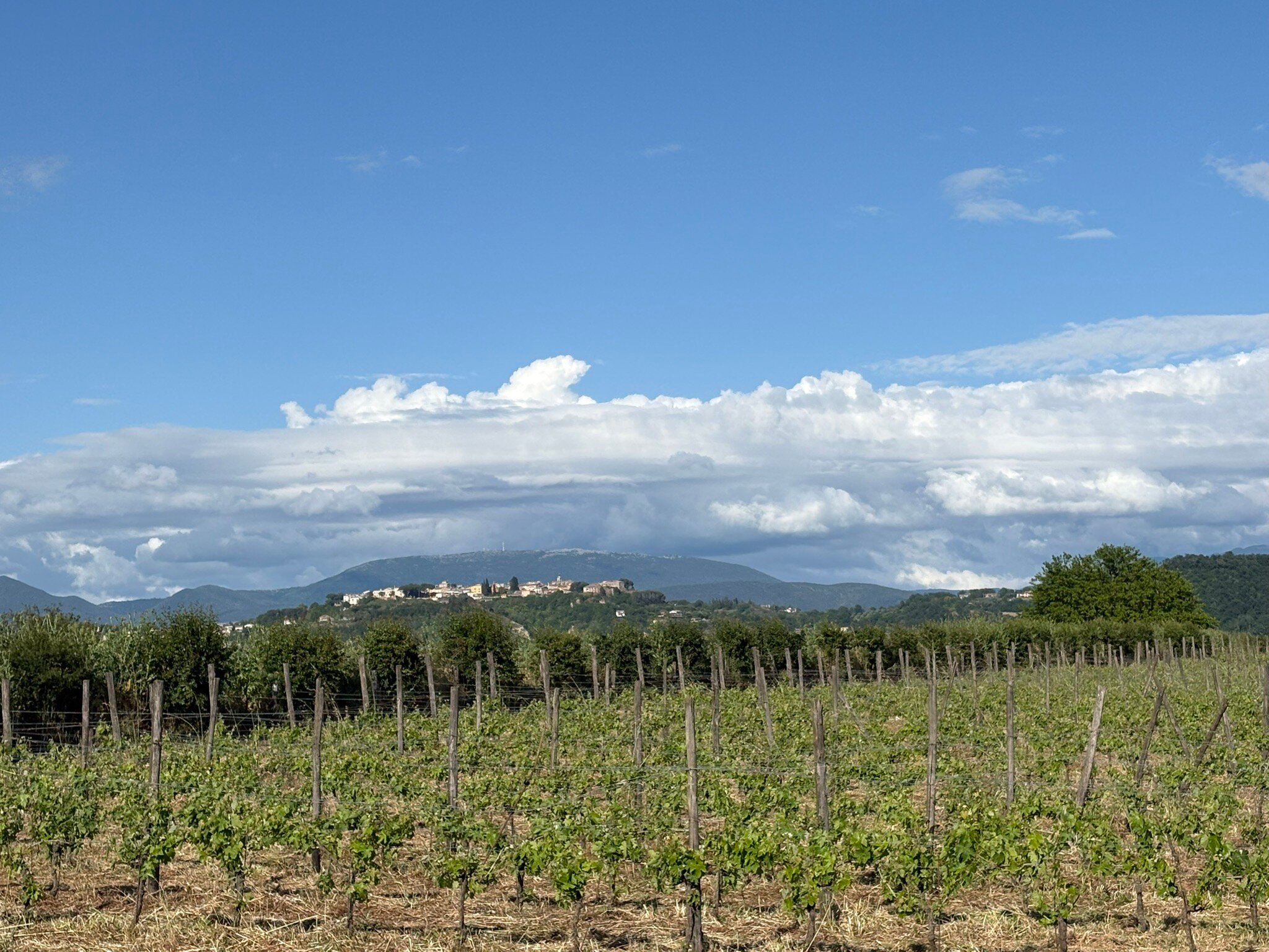 Fattoria Lucciano-官方