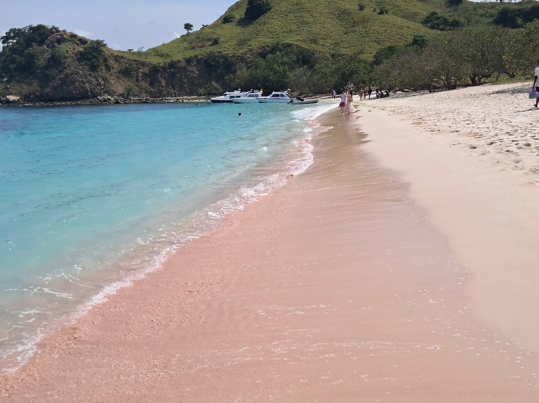 Top Komodo Tours-Labuan Bajo必去景点