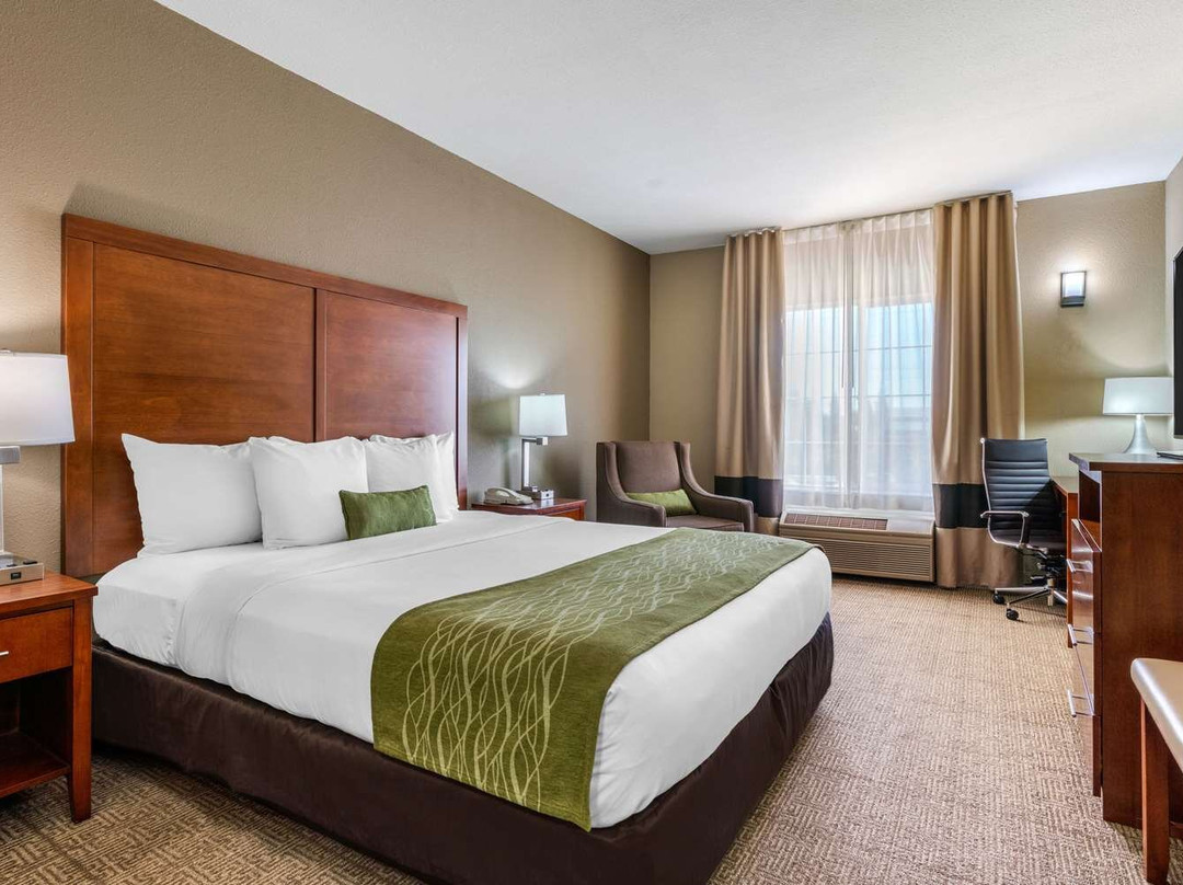 Comfort Inn & Suites Sacramento University Area