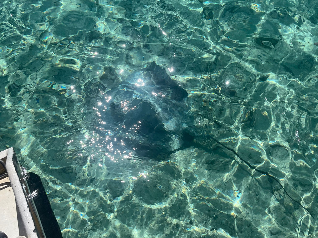 Moorea Seafari Cruises-Paopao必去景点