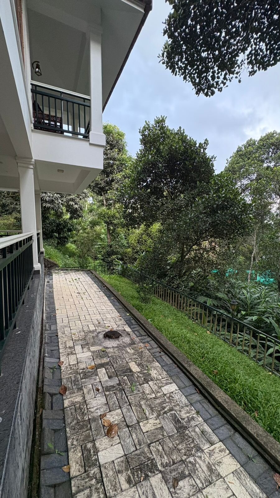 Pepper County Home Stay-浴室