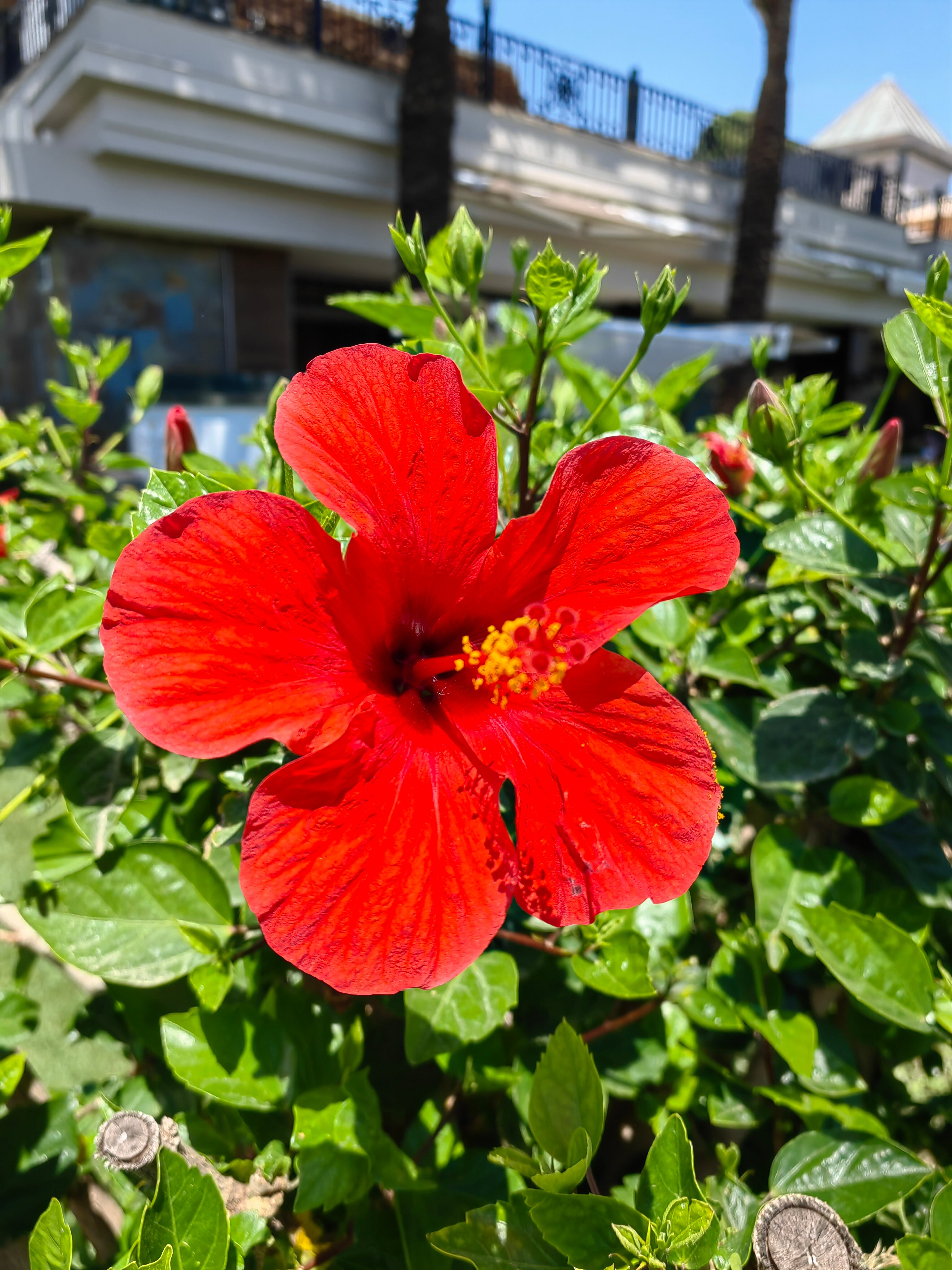 Papillon Ayscha Hotel Resort & Spa-浴室