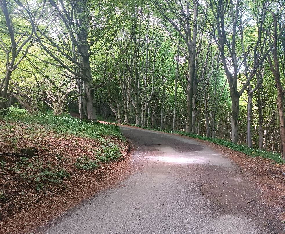 Parco del Beigua-意大利里维埃拉必去景点