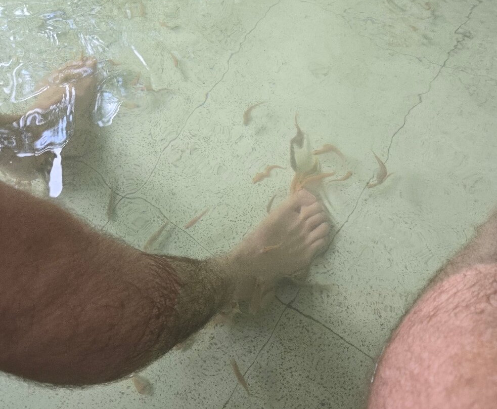 Hoa Phu Thanh Play Ground-岘港必去景点