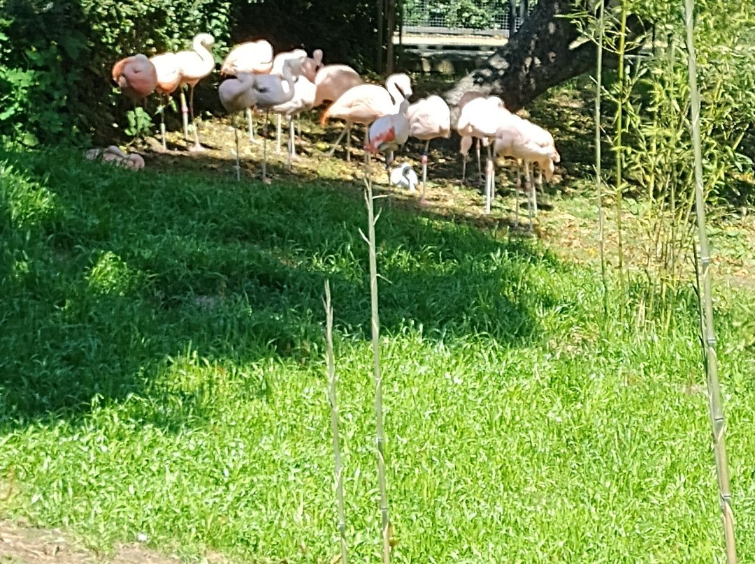 Miejski Ogrod Zoologiczny w Warszawie-华沙必去景点