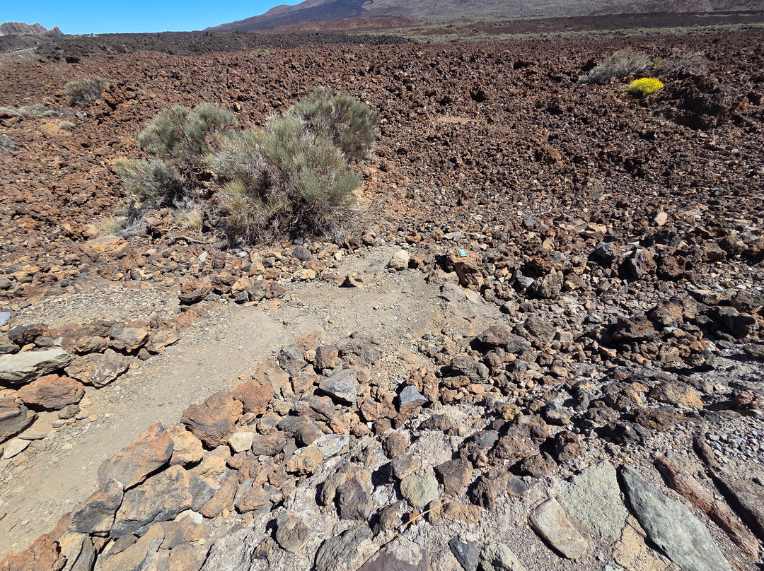 Quad Safari-阿罗纳必去景点