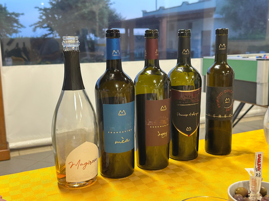 Azienda Agricola Melillo景点图片