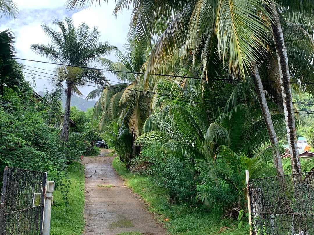 360 Degrees Villa主图