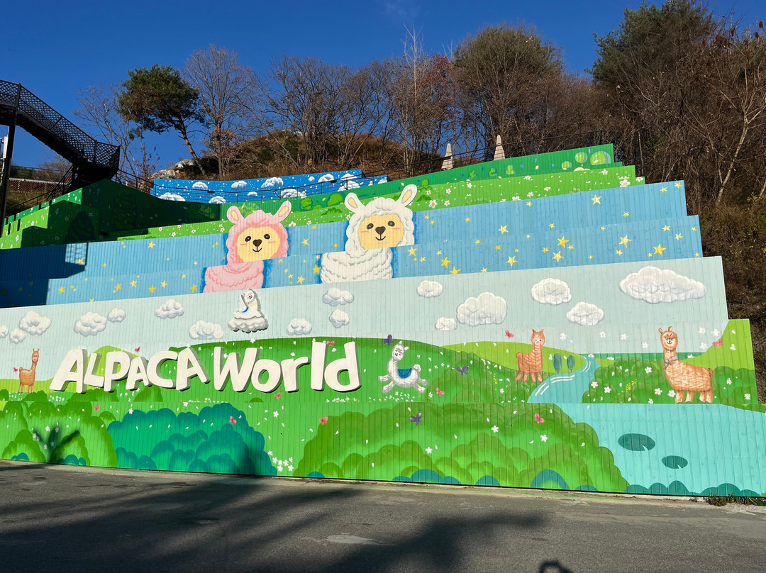 Alpaca World-洪川郡必去景点