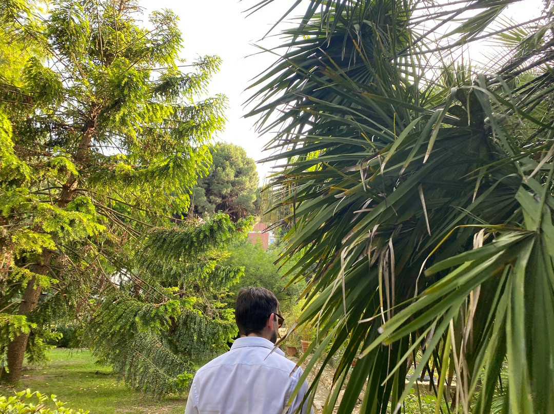 Orto Botanico-卡利亚里省必去景点