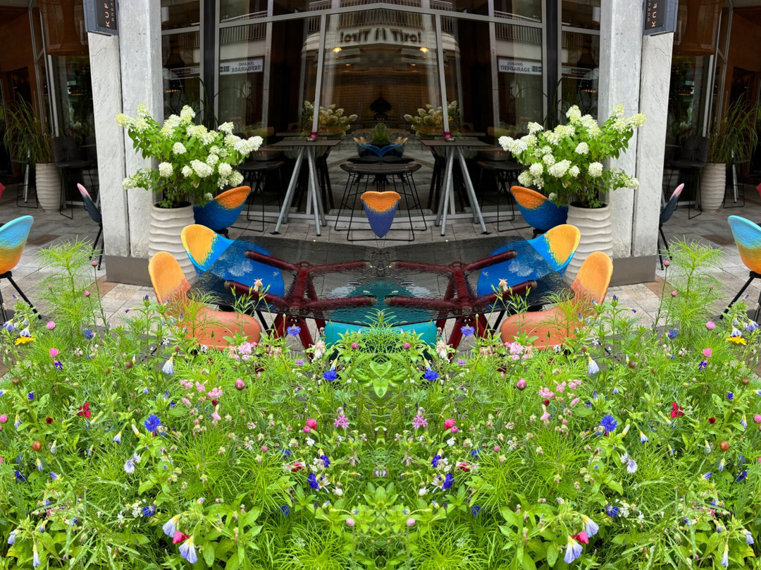 Hotel Stadt Kufstein主图