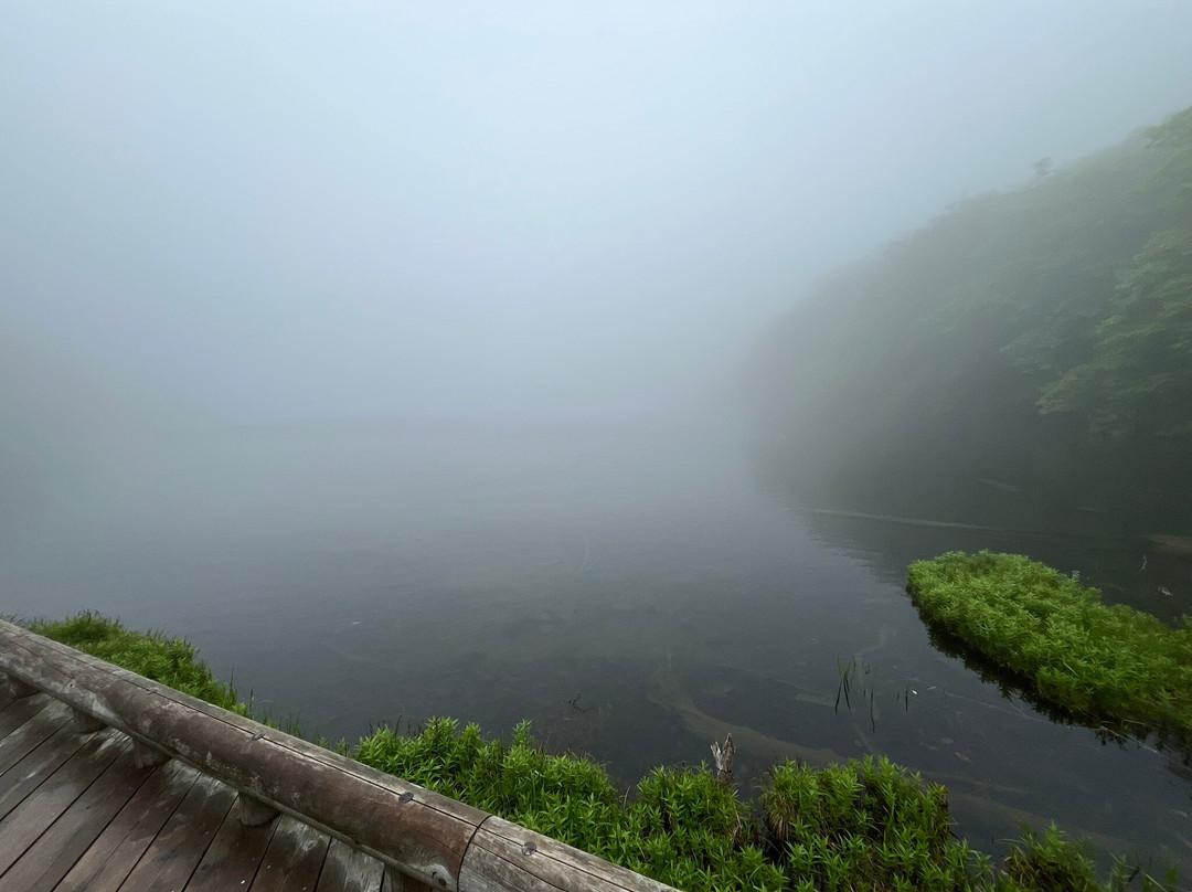 Tsutanuma Pond-十和田市必去景点