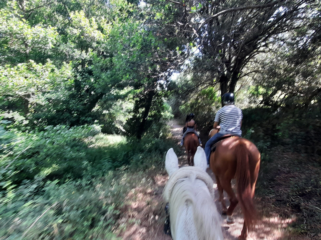 Centro Equestre La Prugnola-Arzachena必去景点